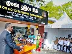News Room : හදුන්නෙත්තිගෙ සීනි බිලියන පහක් පාඩුයි… චාමර සම්පත් කාලෙ බිලියන 2.8ක් ලාබයි ~