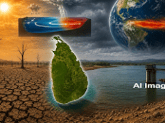 News Room : ශ්රී ලංකාව ‘එල් නිනෝ’ බලපෑමට හසුවෙයි – ඉදිරි මාසවලදී ගංවතුර සහ නියඟය ඇතුළු දැඩි කාලගුණික විපර්යාස රැසක්! ~