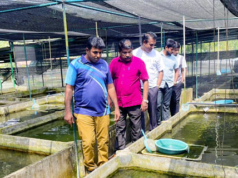 News Room : ඇමති රාමලිංගම් ලොකු වැඩකට බහී..