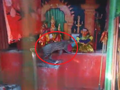 News Room : දෙවියන් වදින්න යනකොට දෙවියන් ලග හදුන් දිවියෙක්…