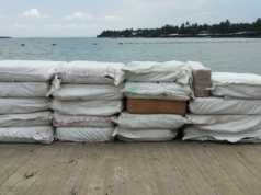 News Room : මත්ද්රව්ය කිලෝ 600ක් අල්ලයි..