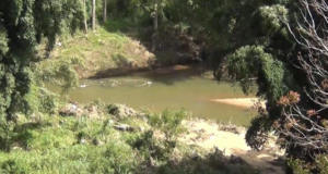 News Room : ආපදාව මුවාවෙන් ජවාරම්කරුවන් මැණික් ගරයි..