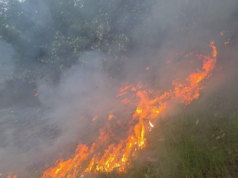 News Room : කාසල්රි ජලාශයෙ ලොකුම දුපතේ ගින්නක්…