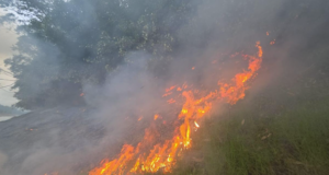 News Room : කාසල්රි ජලාශයෙ ලොකුම දුපතේ ගින්නක්…