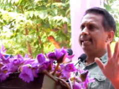 News Room : මා ලක්ෂපතියෙක් කළ ගම්මිරිස් අස්වැන්න මිලට ගත්තේ බිබිලේ පියසේන මාමා…! – ඇමති සමන්ත විද්යාරත්න ~