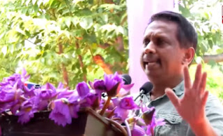 News Room : මා ලක්ෂපතියෙක් කළ ගම්මිරිස් අස්වැන්න මිලට ගත්තේ