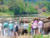 News Room : Significant 59% jump in earnings from tourism in first 10 months of this year – The Island News Room Significant 59 jump in earnings from tourism