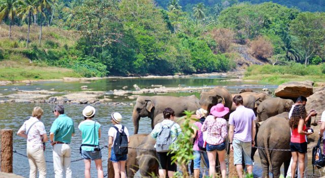 News Room : Significant 59% jump in earnings from tourism in first 10 months of this year – The Island News Room Significant 59 jump in earnings from tourism
