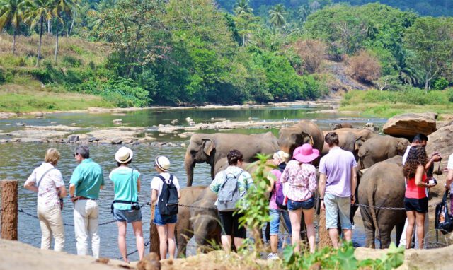 News Room : Significant 59% jump in earnings from tourism
