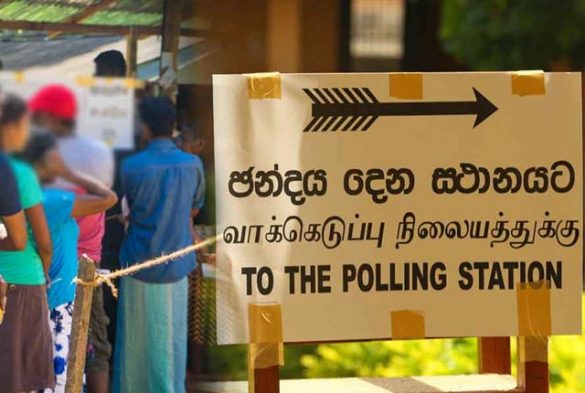 News Room : Local Government Elections in April