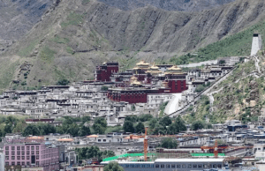 News Room Scores dead as tremor strikes Tibet –