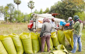 News Room Guaranteed paddy prices announced – The Island