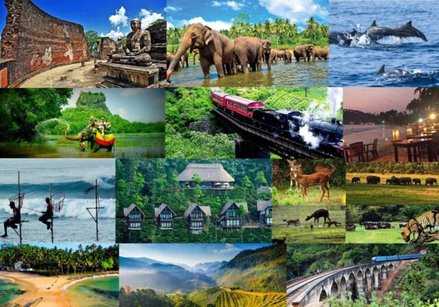 News Room : Sri Lanka’s Tourism Booms with USD 400.7