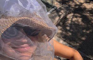News Room Guess who Aussie TV star goes incognito