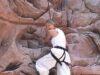 News Room : Charlize Theron overcomes her fear of heights as she scales climbing wall set into a giant billboard in Times Square to promote new film News Room Charlize Theron overcomes her fear of heights