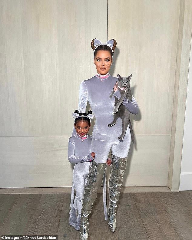 News Room : Khloe Kardashian condemned after putting cats through ‘cruel’ surgical procedure that is ILLEGAL in California