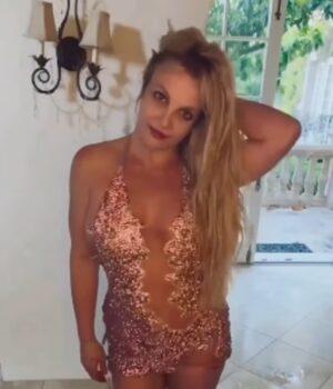 News Room Britney Spears nepo baby sons Sean Preston