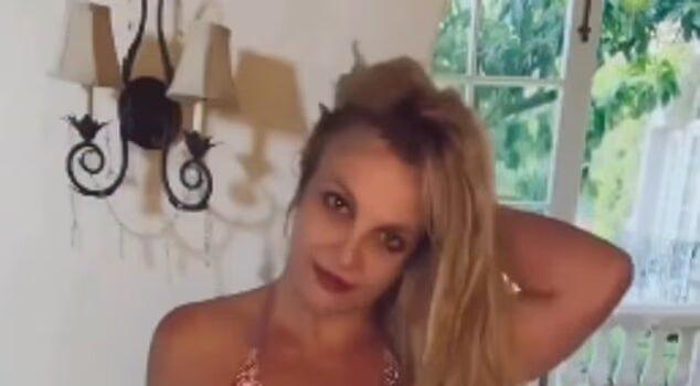 News Room Britney Spears nepo baby sons Sean Preston