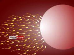 News Room : Sperm donor who fathered at least 550 kids banned by Dutch court – The Island