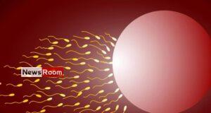 News Room : Sperm donor who fathered at least 550 kids banned by Dutch court – The Island News Room Sperm donor who fathered at least 550