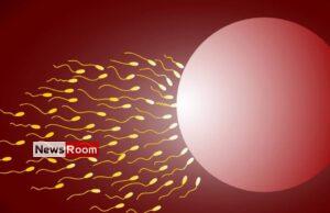 News Room : Sperm donor who fathered at least 550 kids banned by Dutch court – The Island