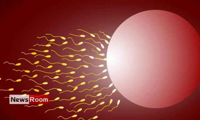 News Room : Sperm donor who fathered at least 550