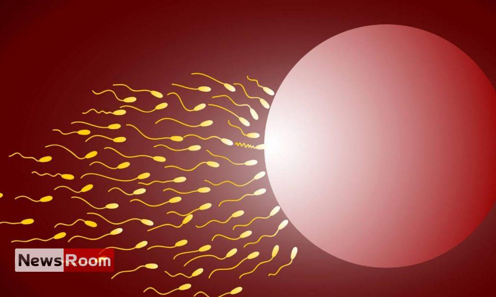 News Room : Sperm donor who fathered at least 550