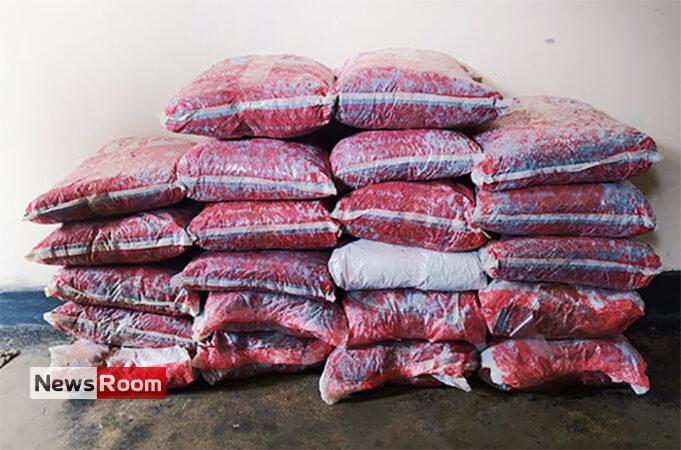 News Room : Navy recovers over 85kg of Kerala cannabis in Jaffna – The Island