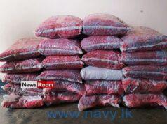 News Room : Navy recovers over 85kg of Kerala cannabis in Jaffna