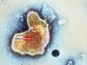 News Room : US drug regulator approves world’s first RSV vaccine News Room US drug regulator approves worlds first RSV