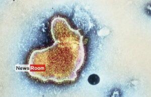 News Room : US drug regulator approves world’s first RSV vaccine News Room US drug regulator approves worlds first RSV