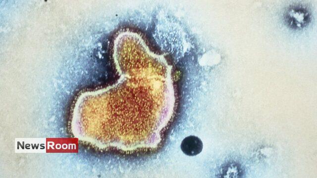 News Room : US drug regulator approves world’s first RSV