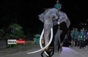 News Room Elephant allegedly abused in Sri Lanka flown