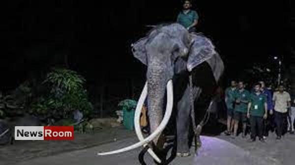 News Room : Elephant allegedly abused in Sri Lanka flown