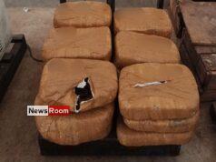 News Room : Navy nets Kerala Cannabis stash valued at over Rs. 11 Mn in Jaffna