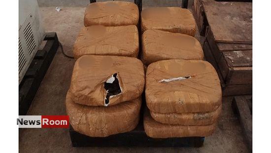 News Room : Navy nets Kerala Cannabis stash valued at over Rs. 11 Mn in Jaffna