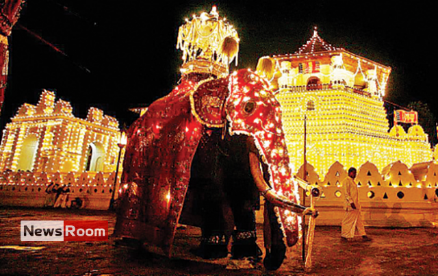 News Room : Kandy Perahera begins