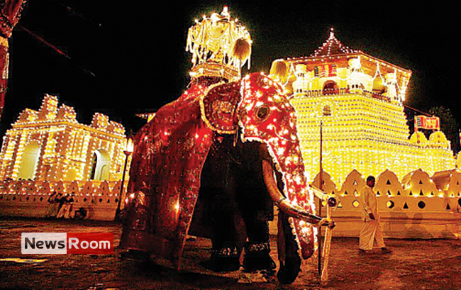 News Room : Kandy Perahera begins