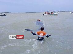 News Room : Navy helps rescue stranded whale in Puttalam lagoon and guide it back to open waters