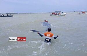 News Room : Navy helps rescue stranded whale in Puttalam lagoon and guide it back to open waters