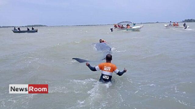 News Room : Navy helps rescue stranded whale in Puttalam