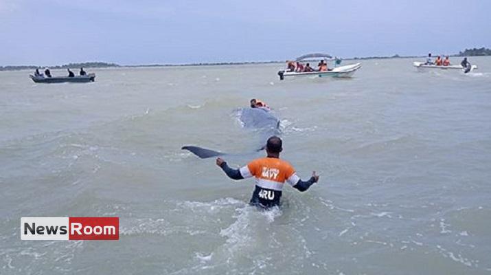 News Room : Navy helps rescue stranded whale in Puttalam