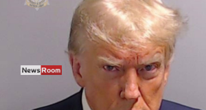 News Room : Trump Surrenders