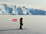 News Room Antarctic sea ice at ‘mind blowing low alarms experts