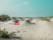 News Room : Four suspected human smugglers arrested – The Island News Room Four suspected human smugglers arrested – The