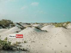 News Room : Four suspected human smugglers arrested – The Island