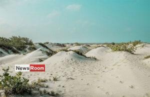 News Room : Four suspected human smugglers arrested – The Island