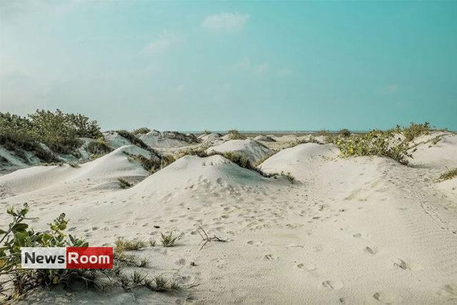 News Room : Four suspected human smugglers arrested – The