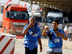 News Room : Rafah border crossing opens, allowing only 20 aid trucks into Gaza – The Island