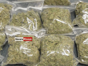 News Room : Vaddukoddai search yields huge haul of Kerala cannabis – The Island News Room Vaddukoddai search yields huge haul of Kerala